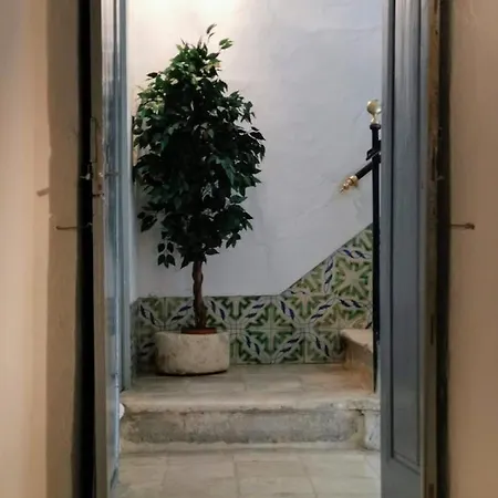 Triperia 25 דירה